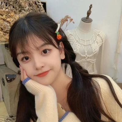 火红的杜鹃花