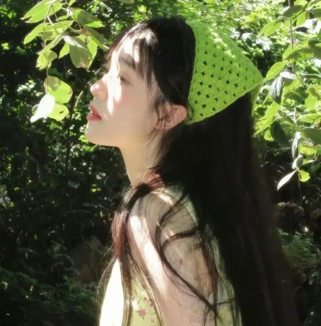 护宝寻踪